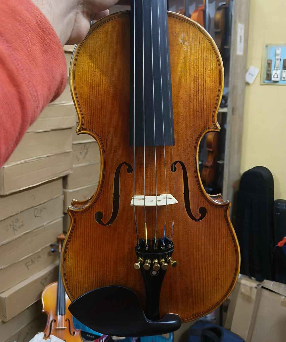 PROFFESIONAL 5 STRING VIOLIN
