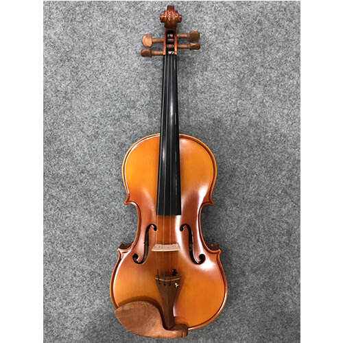beginner   violin