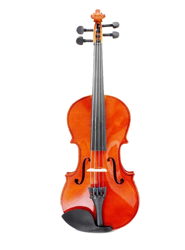 Solid wood violin
