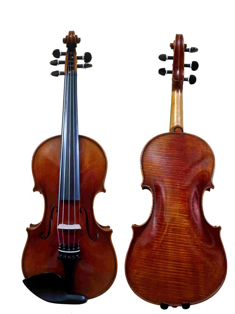 5 String Professional Violin