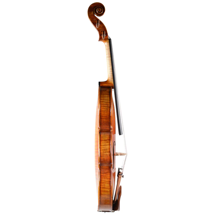 Violin store single back professional violin  