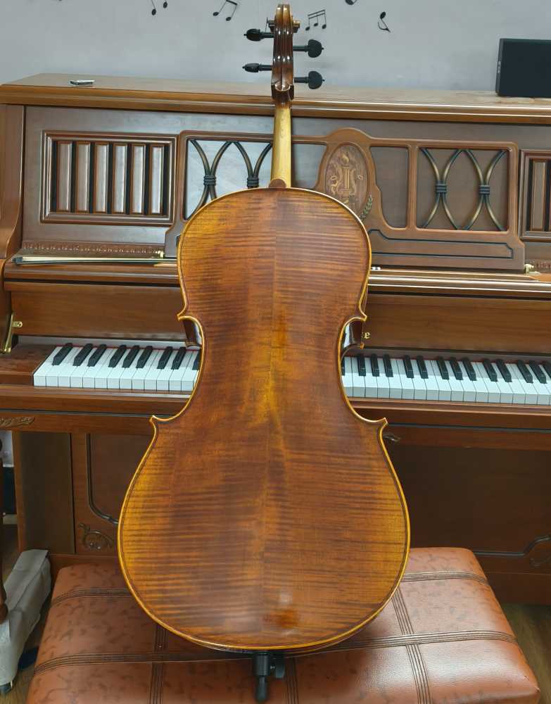 Professional Cello 4/4 2024 model