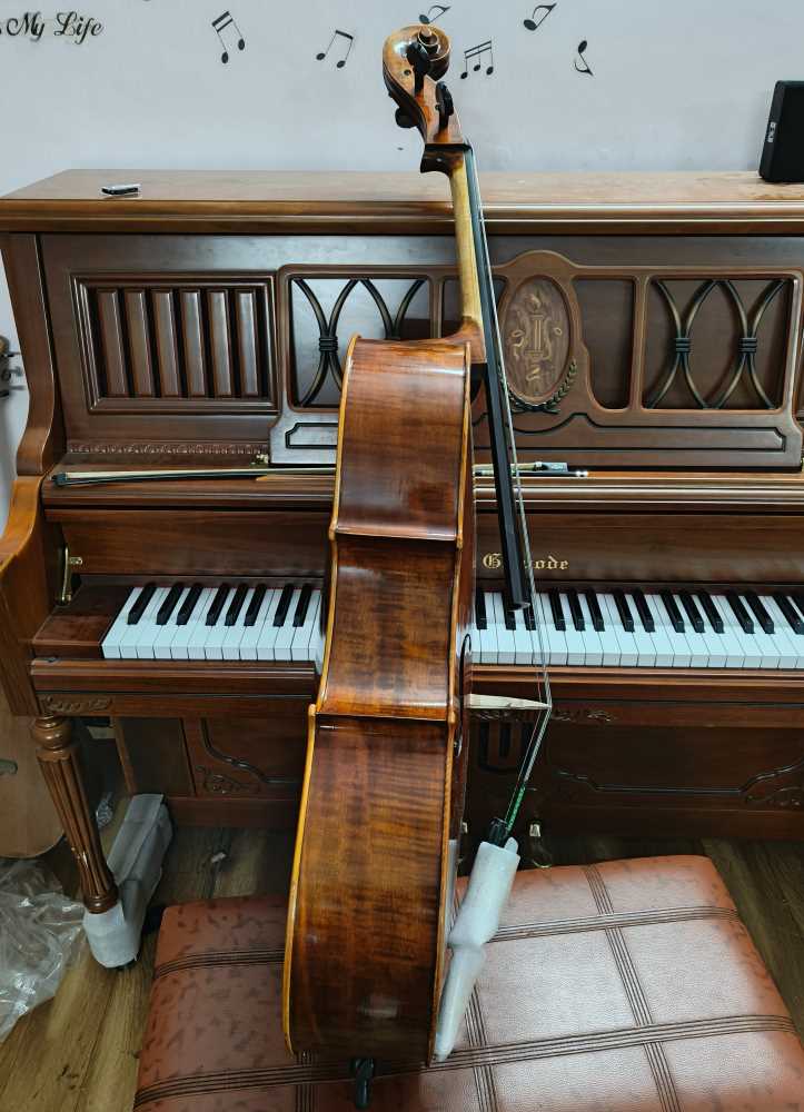 Professional Cello 4/4 2024 model